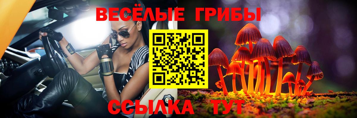 Алейск  Галлюциногенные грибы ЛСД  Вход с VPN 